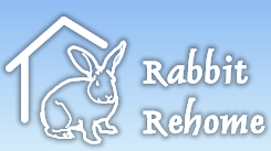 Rabbit Rehome