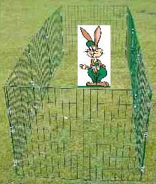 Rabbit Run