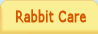 Rabbit Care